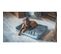 Matelas Rectangulaire Pour Chien Grand/moyen - Ouatiné Dense - Taille L - 80x60x7cm