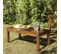 Hanna - Table Basse De Jardin Rectangulaire 100 X 50 Cm En Bois Teck Huilé