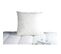 Oreiller Duvet Oie Morzine Anti-acariens 65x65cm Blanc