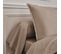 Drap Plat En Percale De Coton Taupe 240x300