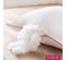 Oreiller Percale 100% Coton - Lot De 2 - 60x60 Cm - Gonflant - Confort Moelleux - Anti Acariens