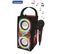 Enceinte Tendance Karaoké Bluetooth® Portable Avec Micro Et Effets Lumineux The Voice