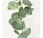 Guirlande Vegetale Artificielle Det#039;eucalyptus 165cm