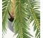 Palmier Artificiel Cycas 70cm
