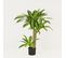 Dracena Artificiel Toucher Naturel 80cm