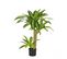 Dracena Artificiel Toucher Naturel 80cm