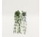 Plante Succulente Retombante Artificielle 50cm Lot De 2