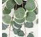 Eucalyptus Artificiel Retombant 40cm Lot De 2