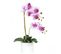 Orchidees Artificielles Fuchsia 55cm