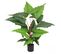 Alocasia Artificiel Toucher Naturel 150cm