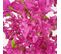 Bougainvillier Artificiel Fuchsia 175cm