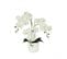 Orchidees Artificielles Toucher Naturel Blanc 52cm