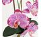 Orchidee Artificielle Fuchsia Mouchetee 50cm