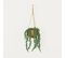 Succulente Artificielle Suspension 60cm