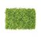 Mur Vegetal Artificiel De Feuillage 40cm