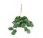 Plante Verte Calathea Artificielle Vert 50cm