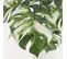 Monstera Artificiel Variegata Toucher Naturel 35cm