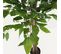 Ficus Artificiel Vert 180cm