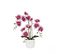 Orchidee Artificielle Blanc-fuchsia 50cm