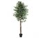 Ficus Artificiel Panache 210cm