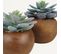 Succulente Artificielle Pot Bois 15cm Lot De 2