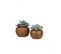 Succulente Artificielle Pot Bois 15cm Lot De 2