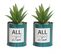 Succulente Artificielle En Pot 17cm Lot De 2