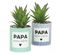 Succulente Artificielle En Pot 17cm Lot De 2