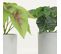 Plantes Artificielles 20cm Lot De 4