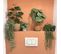 Plantes Artificielles 20cm Lot De 4