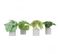 Plantes Artificielles 20cm Lot De 4