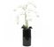 Orchidees Artificielles Blanches 135cm