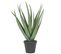 Aloe Vera Artificiel 45cm