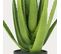 Aloe Vera Artificiel 60cm