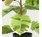 Plante Verte Artificielle Caoutchouc 65cm