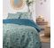 Housse De Couette 220x240 Sunshine 13.23 + 2 Taies 100% Coton 57 Fils