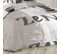 Housse De Couette 240x220 + 2 Taies Galets Zen Coton 42 Fils