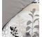 Housse De Couette 260x240 + 2 Taies Cyliane Coton 57 Fils