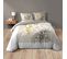 Housse De Couette 260x240 + 2 Taies Enora Coton 42 Fils