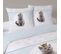 Housse De Couette 240x220 King + 2 Taies Coton 52 Fils