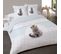 Housse De Couette 240x220 King + 2 Taies Coton 52 Fils