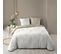 Housse De Couette 260x240 + 2 Taies Cassia Coton 57 Fils