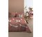 Housse De Couette 260x240 Sakaï Marsala + 2 Taies Coton 57 Fils