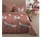 Housse De Couette 260x240 Sakaï Marsala + 2 Taies Coton 57 Fils