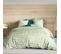 Housse De Couette 240x220 Flava Green + 2 Taies Coton 57 Fils