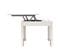 Table Basse Plateau Relevable Newton Blanche