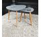 Tables Basses Gigognes Triangulaire Lot De 2 Onyx Grises