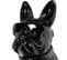 Bulldog Cravate Loft Noir 80 Cm