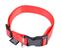 Collier Réglable Pour Chien "essentiel" 35cm Rouge