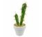 Plante Artificielle En Pot 2 Tiges "cactus" 23cm Blanc